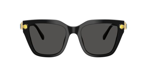 Swarovski SK 6041 100187