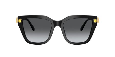 Swarovski SK 6041 1001T3