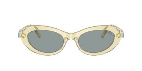 Swarovski SK 6042 1080/1