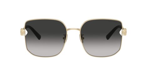 Tiffany TF 3105D 6021S4