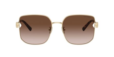 Tiffany TF 3105D 61893B