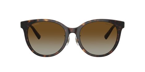 Tiffany TF 4209D 8015T5