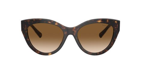 Tiffany TF 4220 801551 Tiffany TF 4220 801551