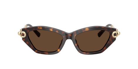 Tiffany TF 4231U 80153G