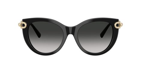 Tiffany TF 4232 80013C