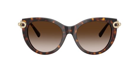 Tiffany TF 4232 80153B