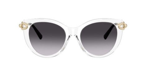 Tiffany TF 4232 80473C