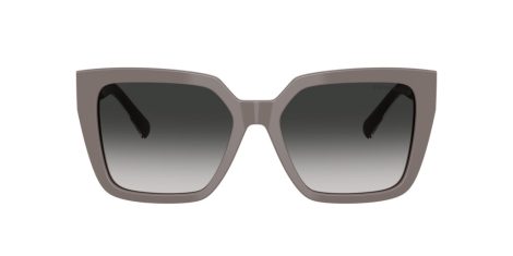 Tiffany TF 4235 84013C