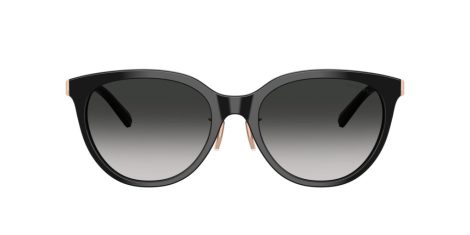 Tiffany TF 4243D 80013C