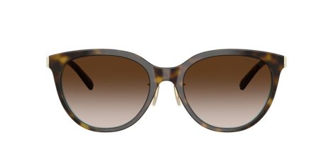 Tiffany TF 4243D 81343B Tiffany TF 4243D 81343B