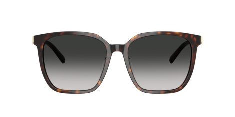 Tiffany TF 4244D 80153C